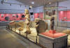Urfa Archeology Museum